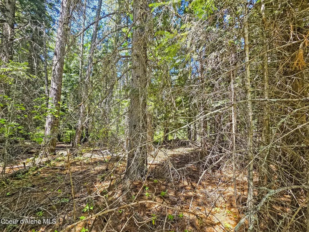 Nna Tanglewood Drive Priest River ID 83856