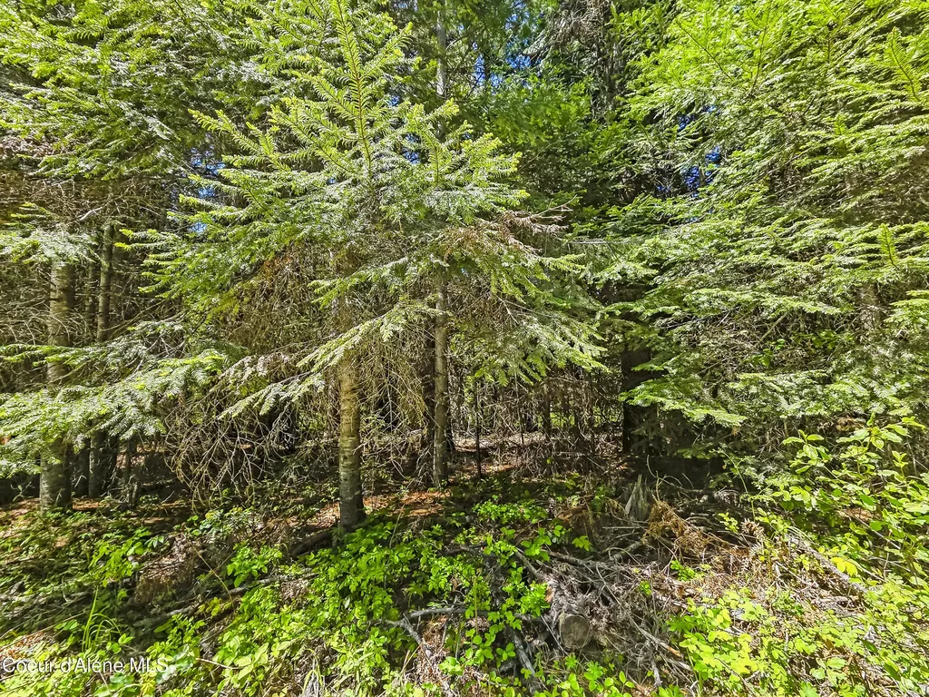 Nna Tanglewood Drive Priest River ID 83856
