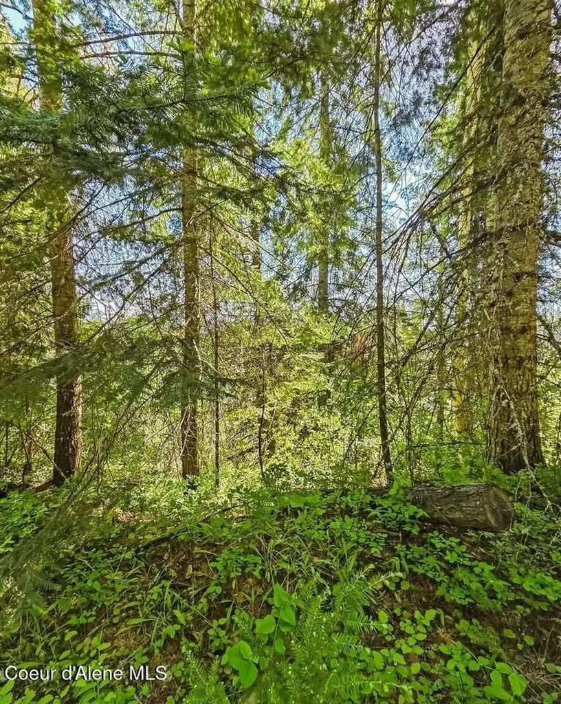 Nna Tanglewood Drive Priest River ID 83856