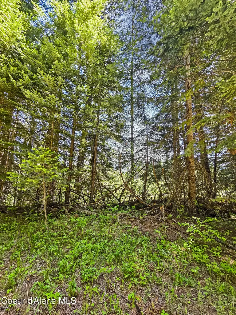 Nna Tanglewood Drive Priest River ID 83856
