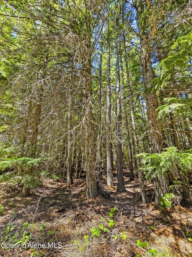Nna Tanglewood Drive Priest River ID 83856