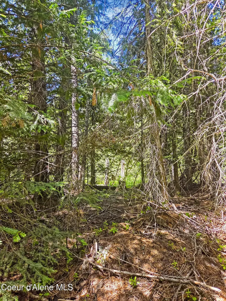 Nna Tanglewood Drive Priest River ID 83856