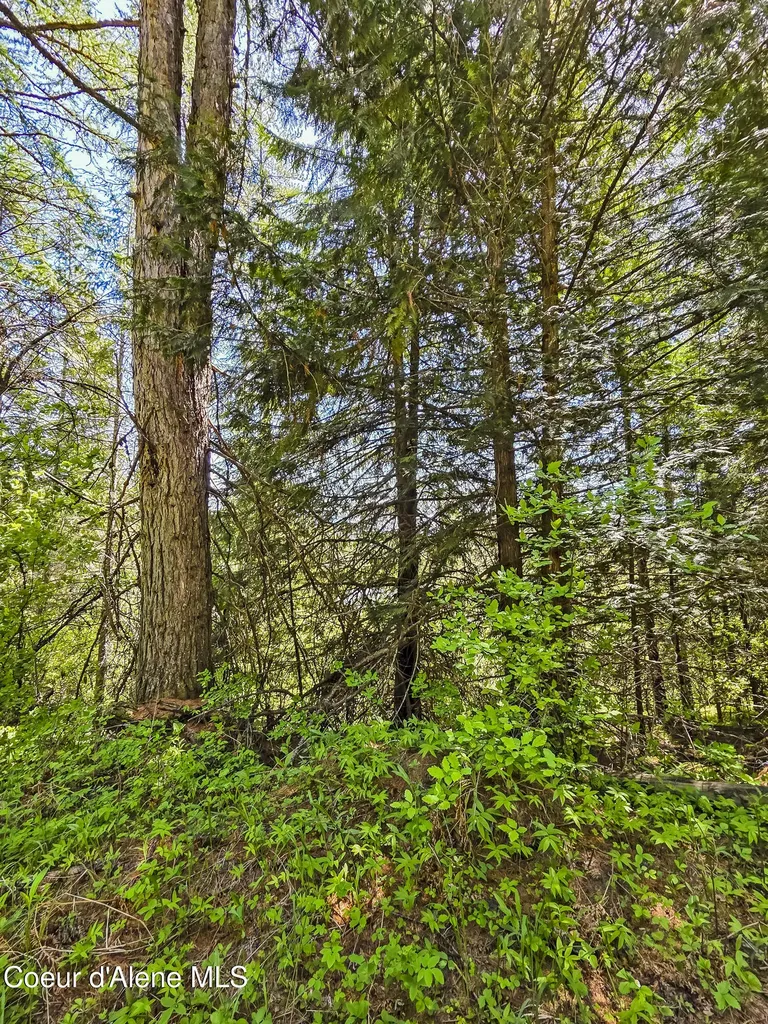 Nna Tanglewood Drive Priest River ID 83856