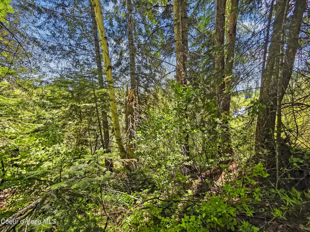 Nna Tanglewood Drive Priest River ID 83856