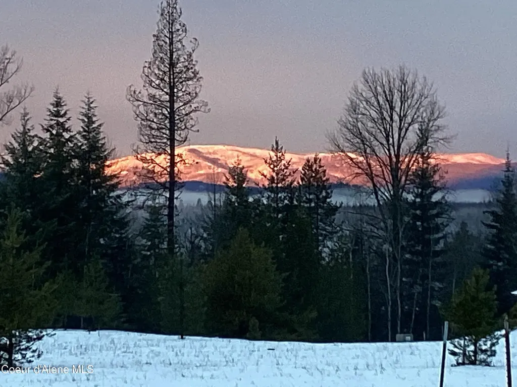1367 Mud Gulch Road Priest River ID 83856