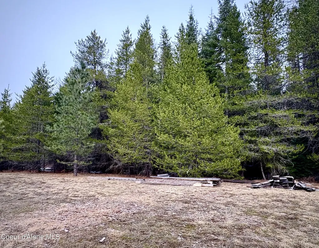 1367 Mud Gulch Road Priest River ID 83856