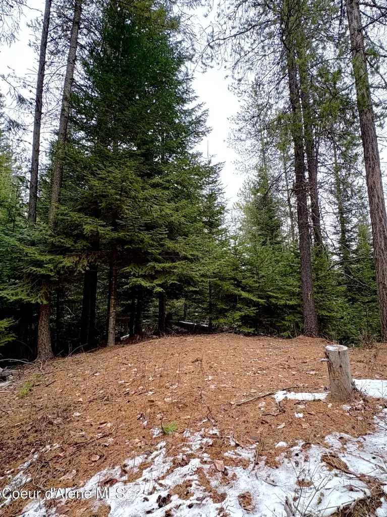 1367 Mud Gulch Road Priest River ID 83856