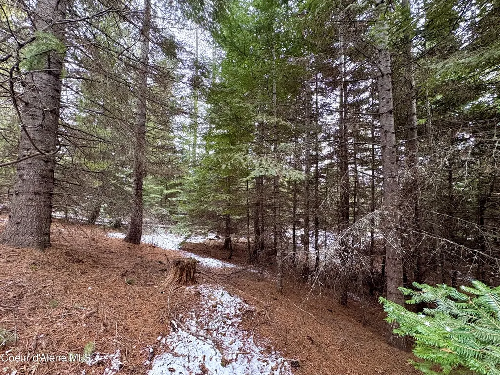 1367 Mud Gulch Road Priest River ID 83856