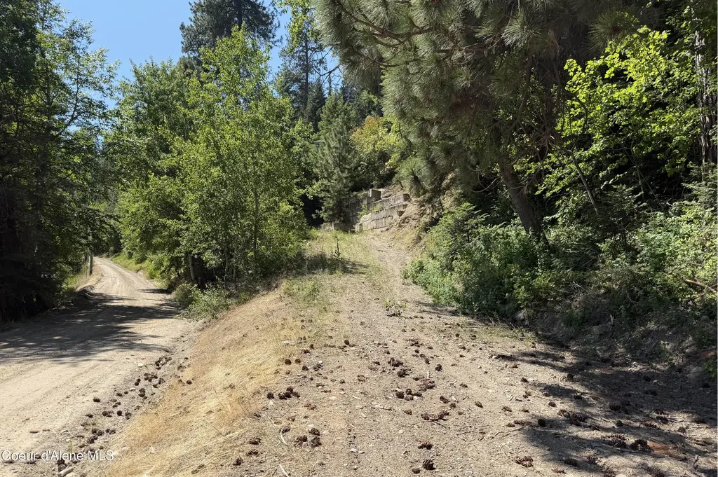 Nna Talache Road Sagle ID 83860