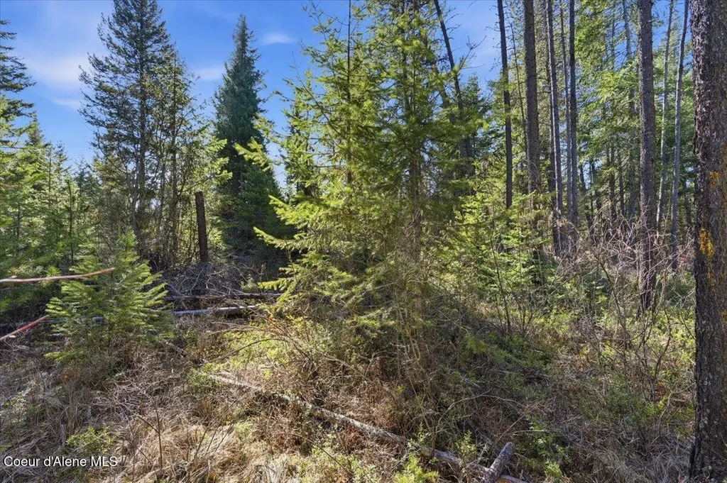 Nka Lot 5 Block 109 Jefferson Street Spirit Lake ID 83869