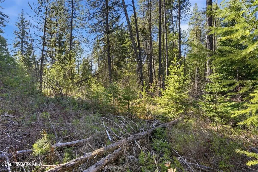 Nka Lot 5 Block 109 Jefferson Street Spirit Lake ID 83869