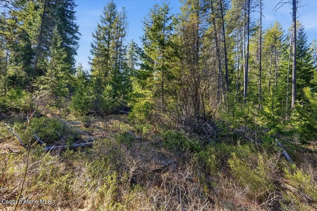 Nka Lot 5 Block 109 Jefferson Street Spirit Lake ID 83869