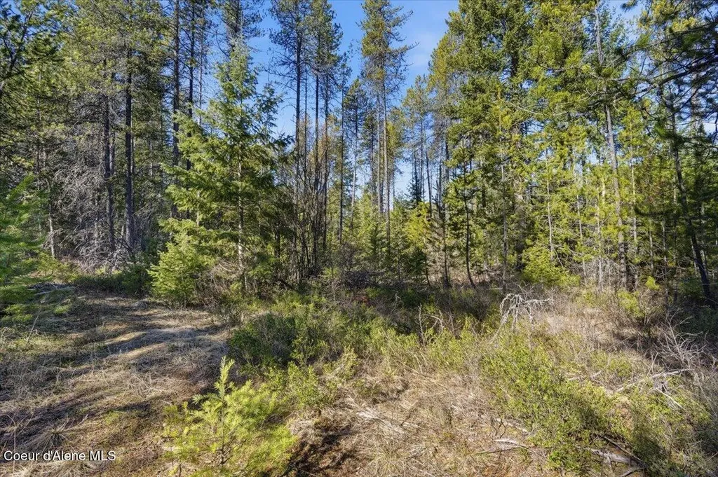 Nka Lot 5 Block 109 Jefferson Street Spirit Lake ID 83869