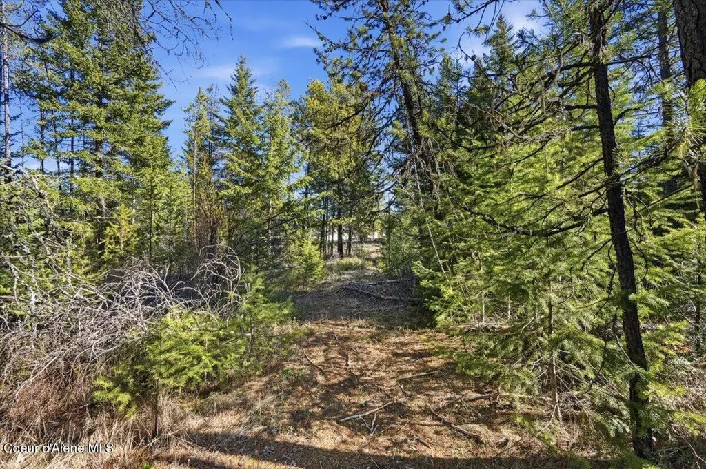 Nka Lot 5 Block 109 Jefferson Street Spirit Lake ID 83869