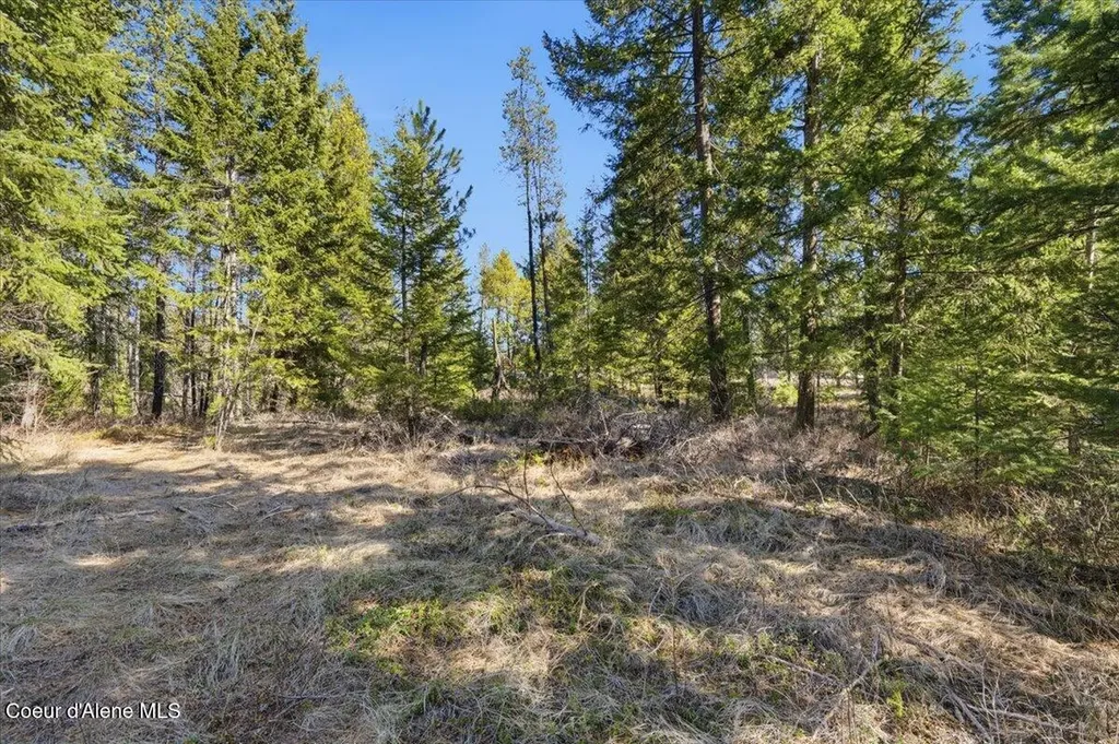 Nka Lot 5 Block 109 Jefferson Street Spirit Lake ID 83869