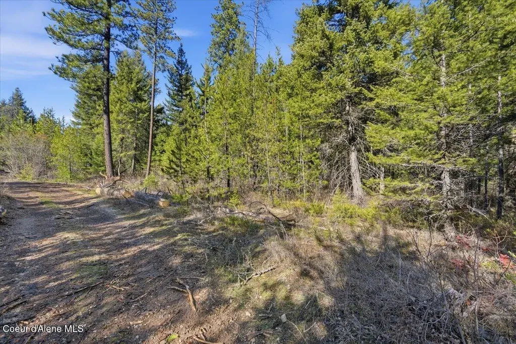 Nka Lot 5 Block 109 Jefferson Street Spirit Lake ID 83869