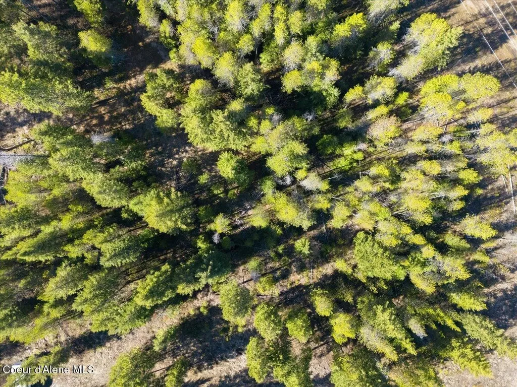 Nka Lot 5 Block 109 Jefferson Street Spirit Lake ID 83869