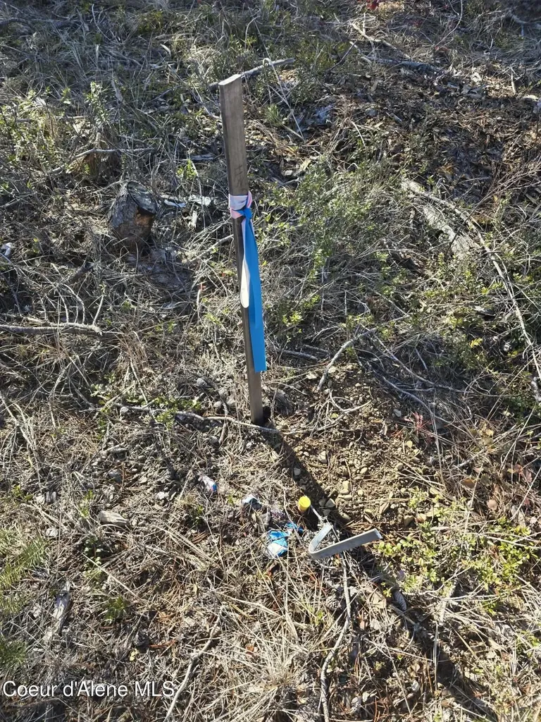 Nka Lot 5 Block 109 Jefferson Street Spirit Lake ID 83869