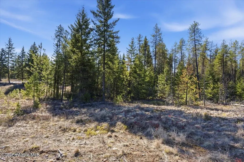 Nka Lot 5 Block 109 Jefferson Street Spirit Lake ID 83869