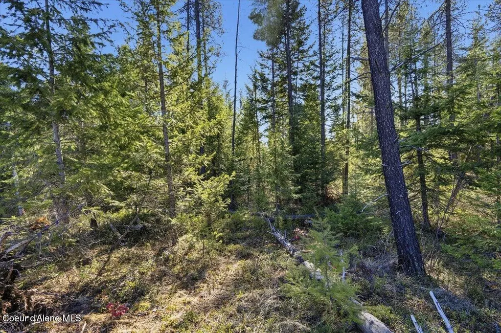 Nka Lot 5 Block 109 Jefferson Street Spirit Lake ID 83869