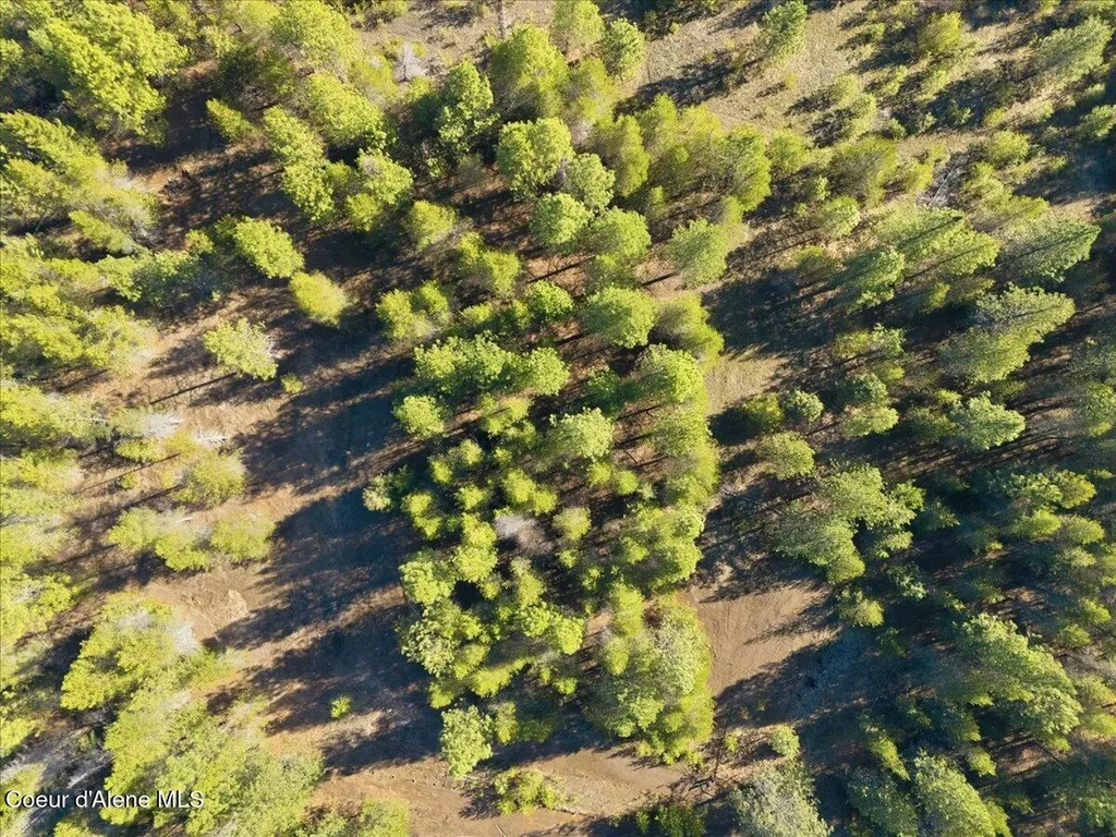 33482 N Charlotte Drive Spirit Lake ID 83869