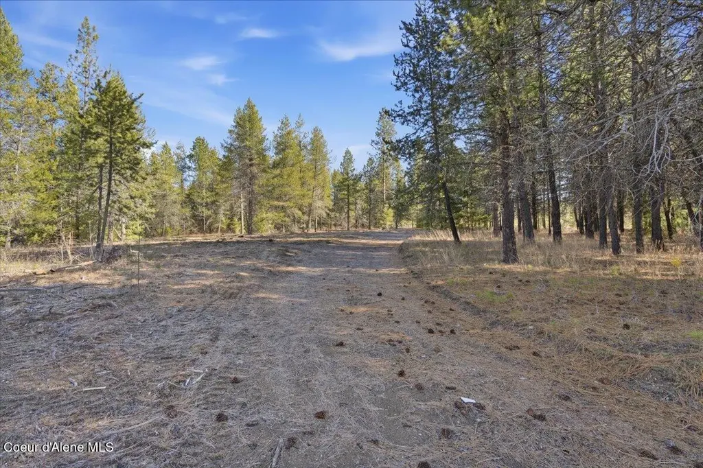 33482 N Charlotte Drive Spirit Lake ID 83869