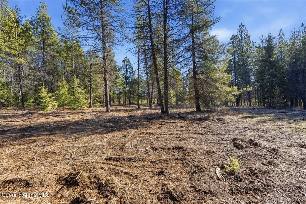33482 N Charlotte Drive Spirit Lake ID 83869