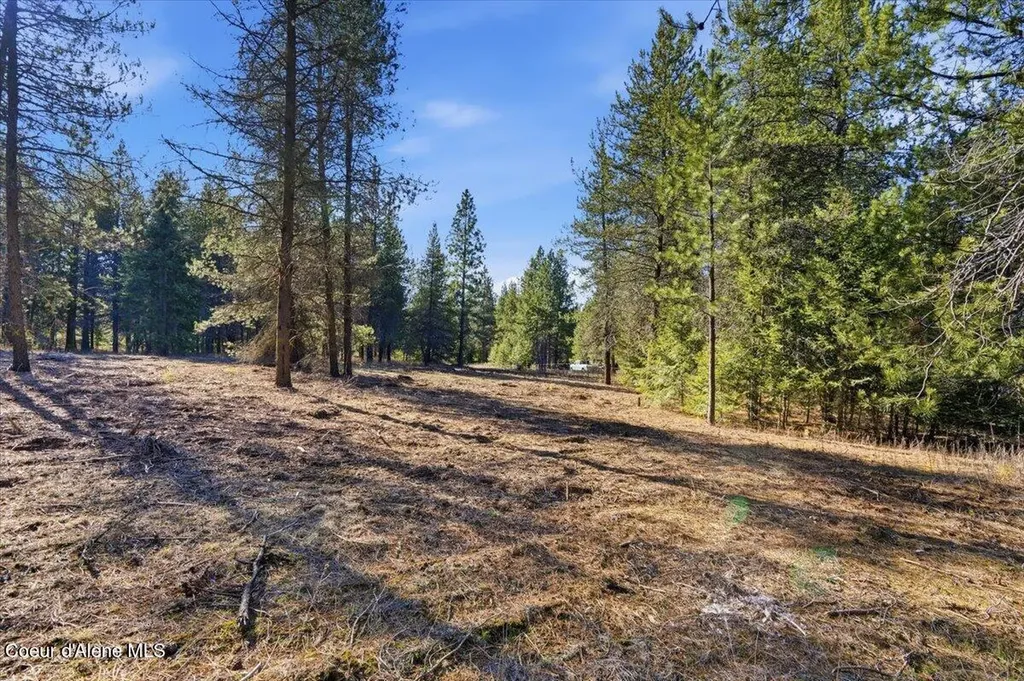33482 N Charlotte Drive Spirit Lake ID 83869