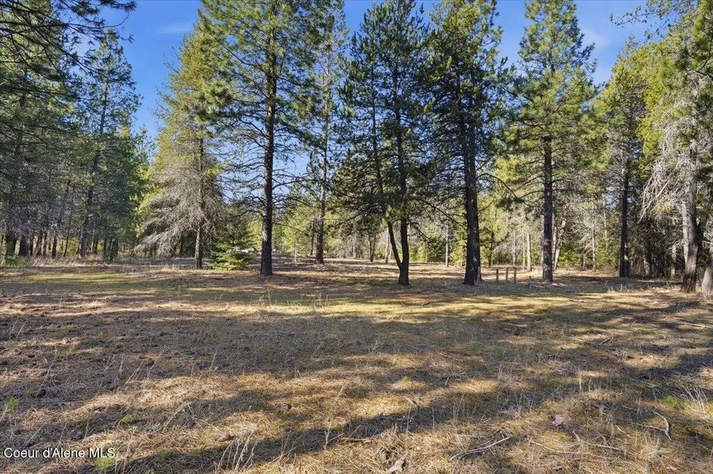 33482 N Charlotte Drive Spirit Lake ID 83869
