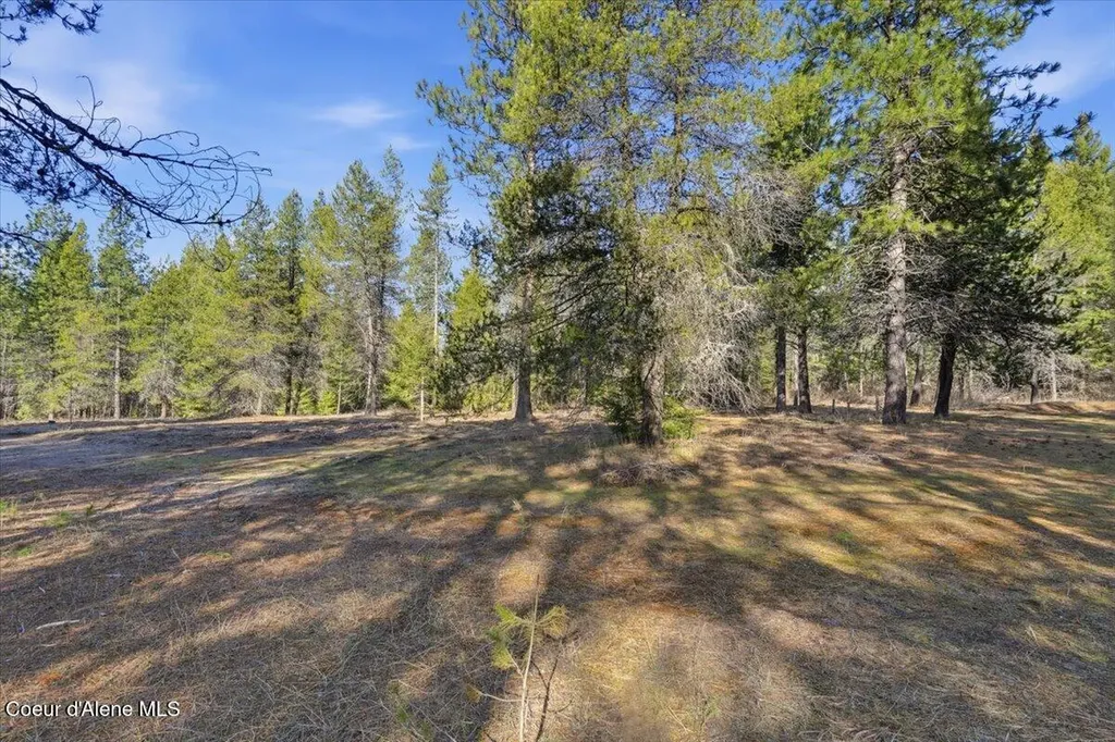 33482 N Charlotte Drive Spirit Lake ID 83869
