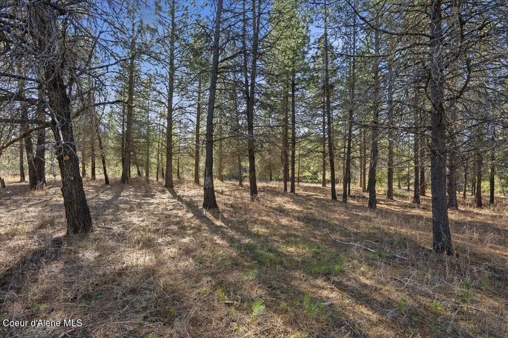 33482 N Charlotte Drive Spirit Lake ID 83869