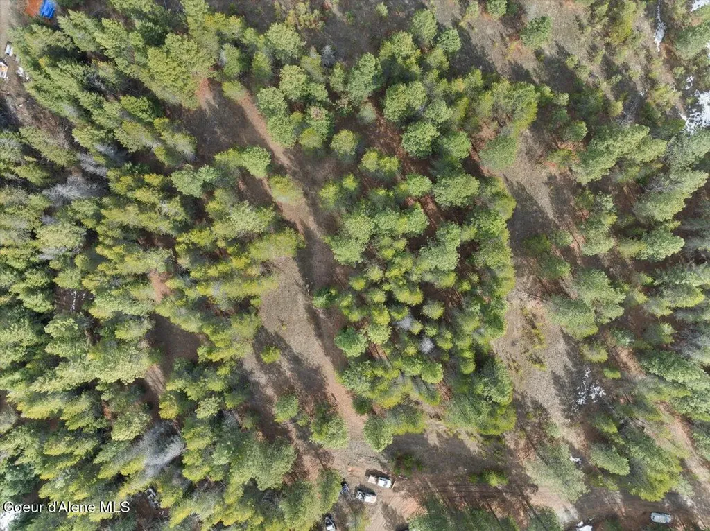 33482 N Charlotte Drive Spirit Lake ID 83869