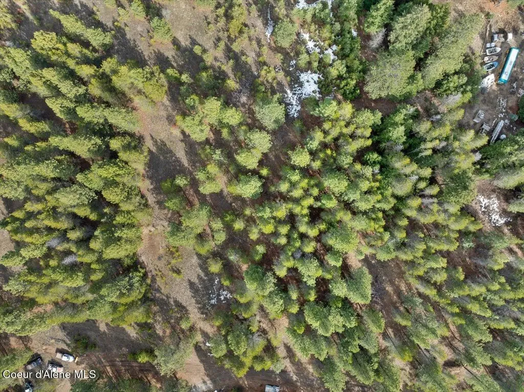 33482 N Charlotte Drive Spirit Lake ID 83869