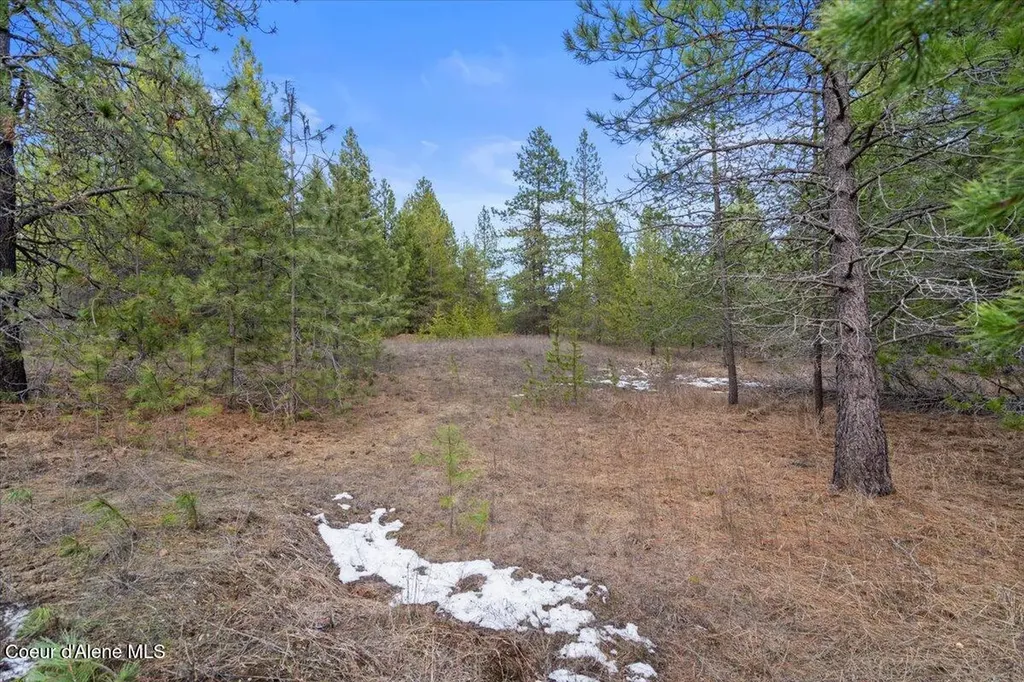 33482 N Charlotte Drive Spirit Lake ID 83869