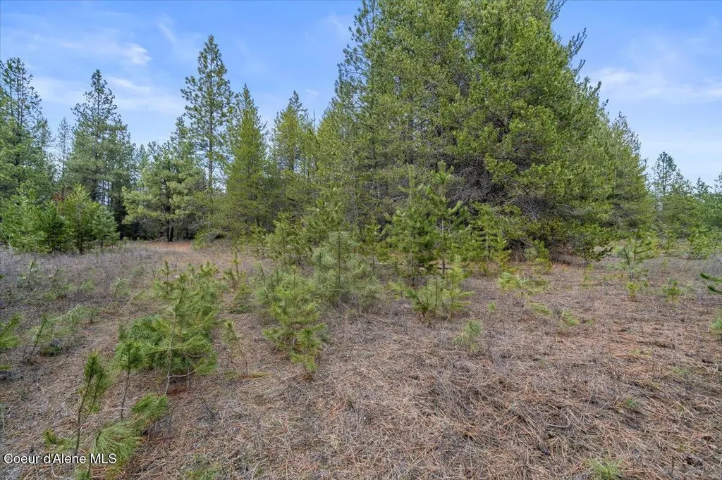 33482 N Charlotte Drive Spirit Lake ID 83869