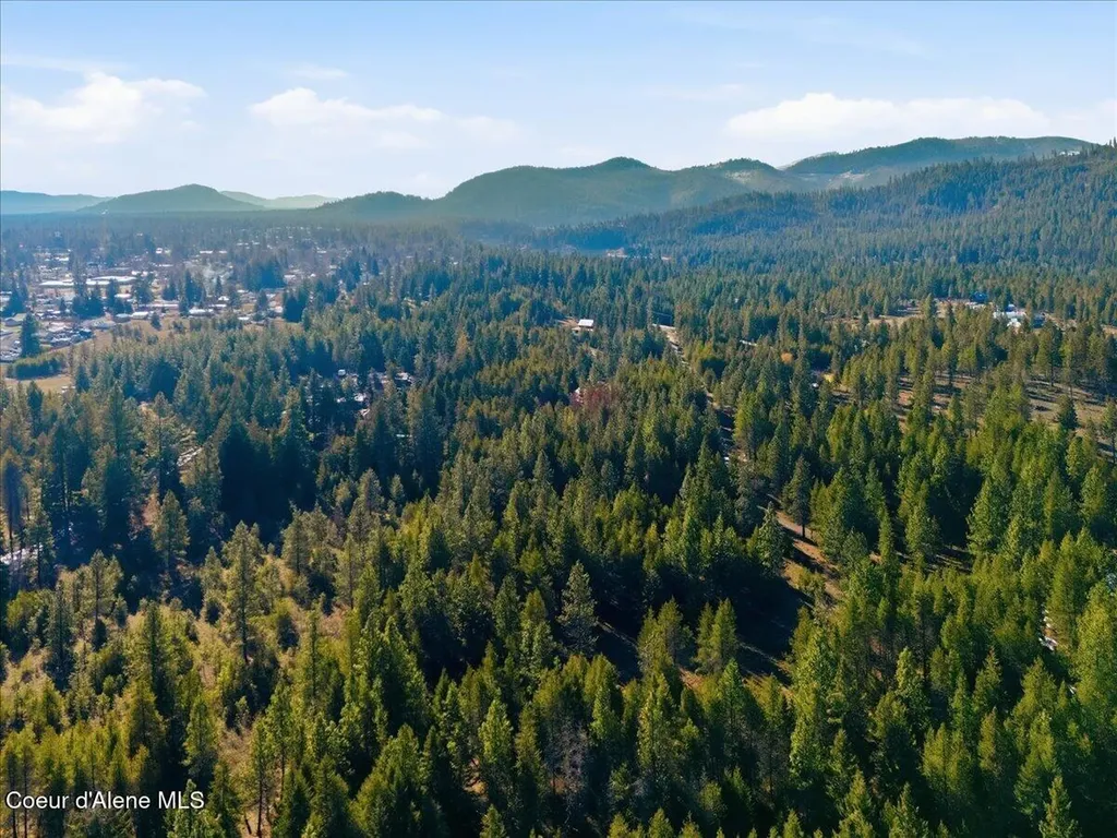 33482 N Charlotte Drive Spirit Lake ID 83869