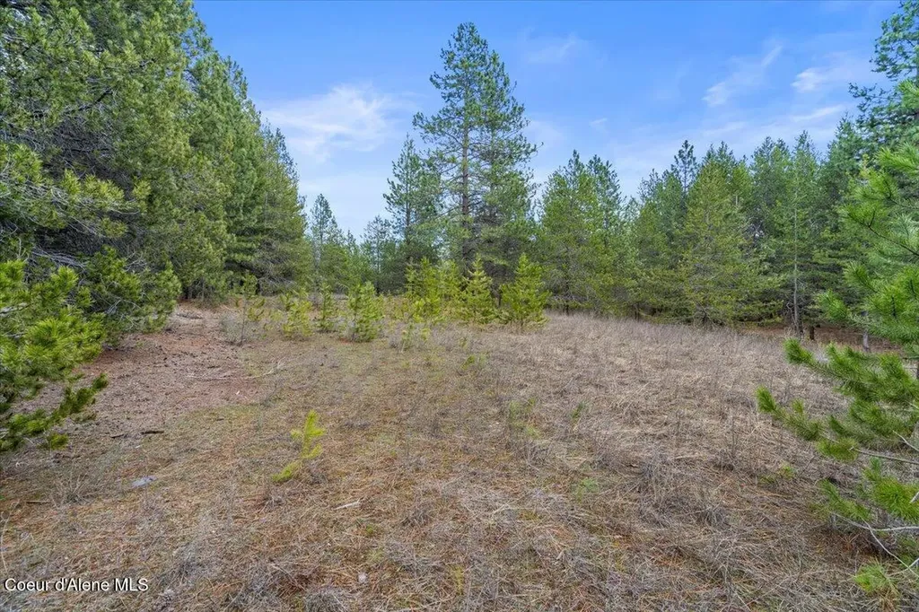 33482 N Charlotte Drive Spirit Lake ID 83869