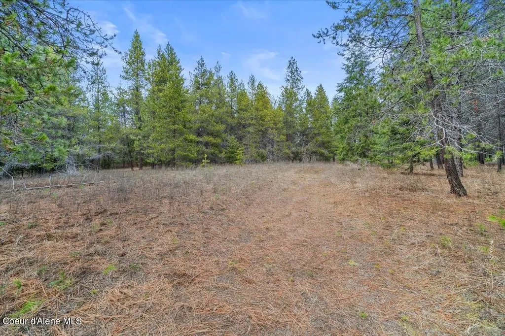 33482 N Charlotte Drive Spirit Lake ID 83869