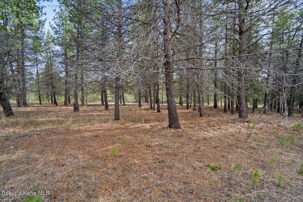 33482 N Charlotte Drive Spirit Lake ID 83869
