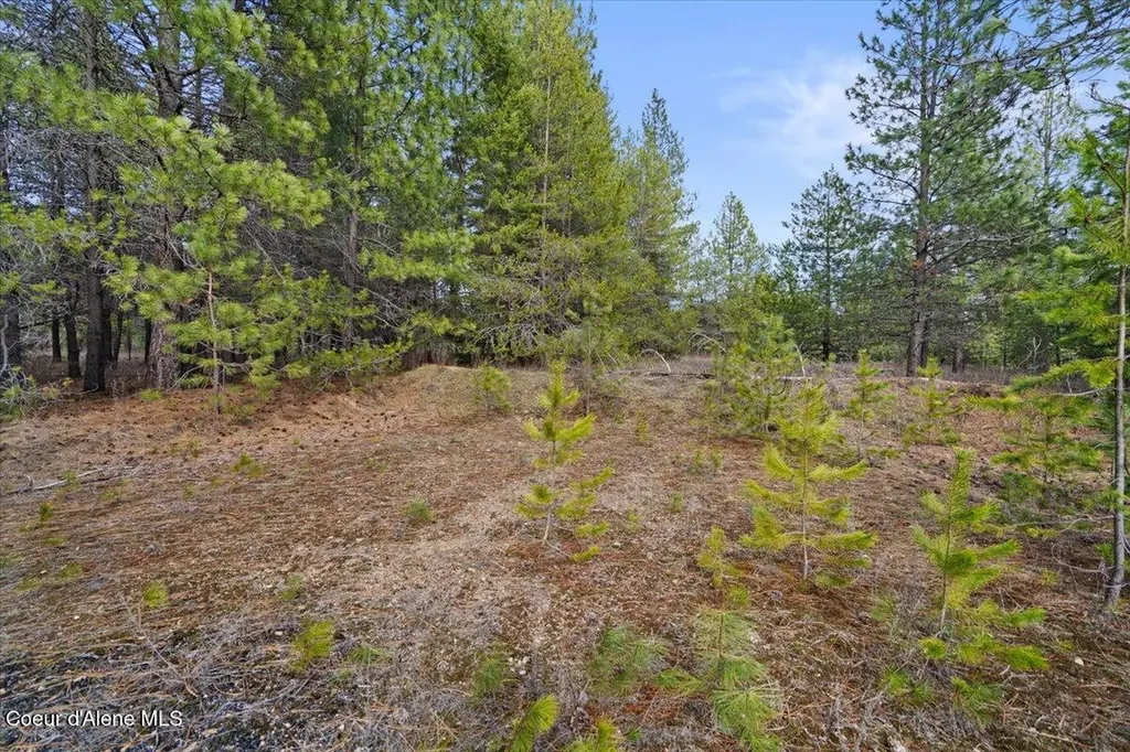 33482 N Charlotte Drive Spirit Lake ID 83869