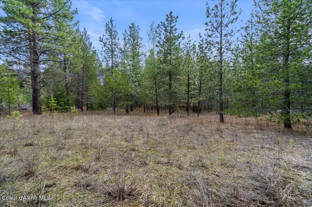 33482 N Charlotte Drive Spirit Lake ID 83869