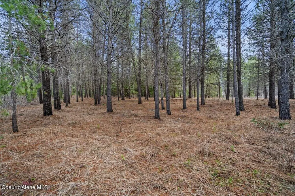 33482 N Charlotte Drive Spirit Lake ID 83869