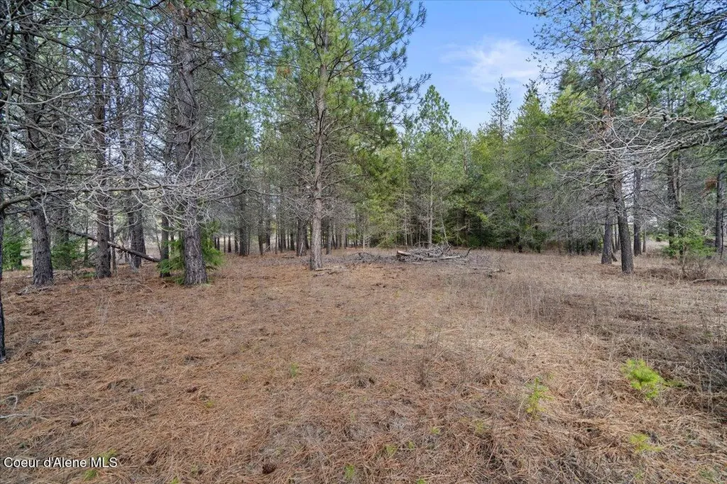 33482 N Charlotte Drive Spirit Lake ID 83869