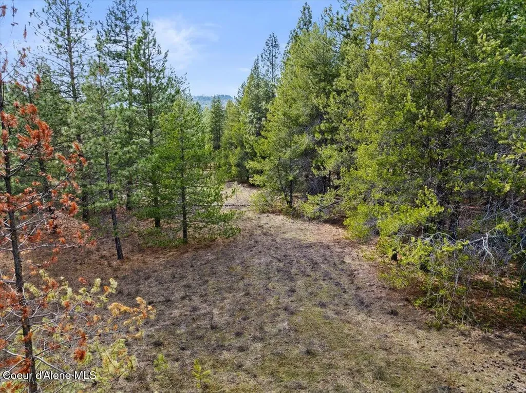 33482 N Charlotte Drive Spirit Lake ID 83869