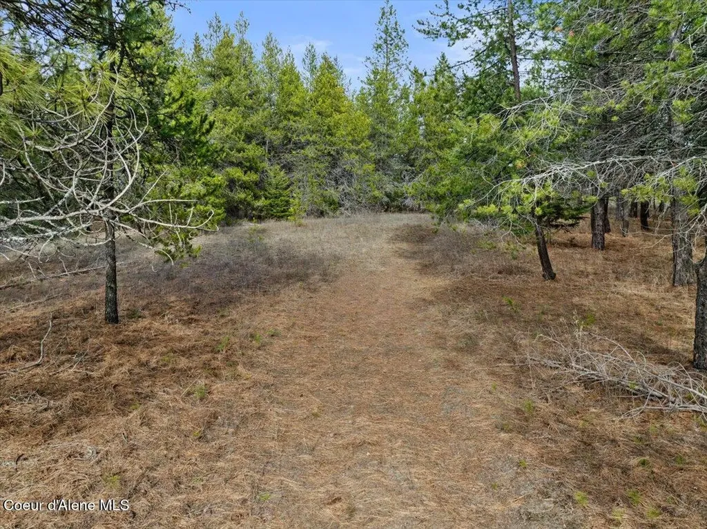 33482 N Charlotte Drive Spirit Lake ID 83869