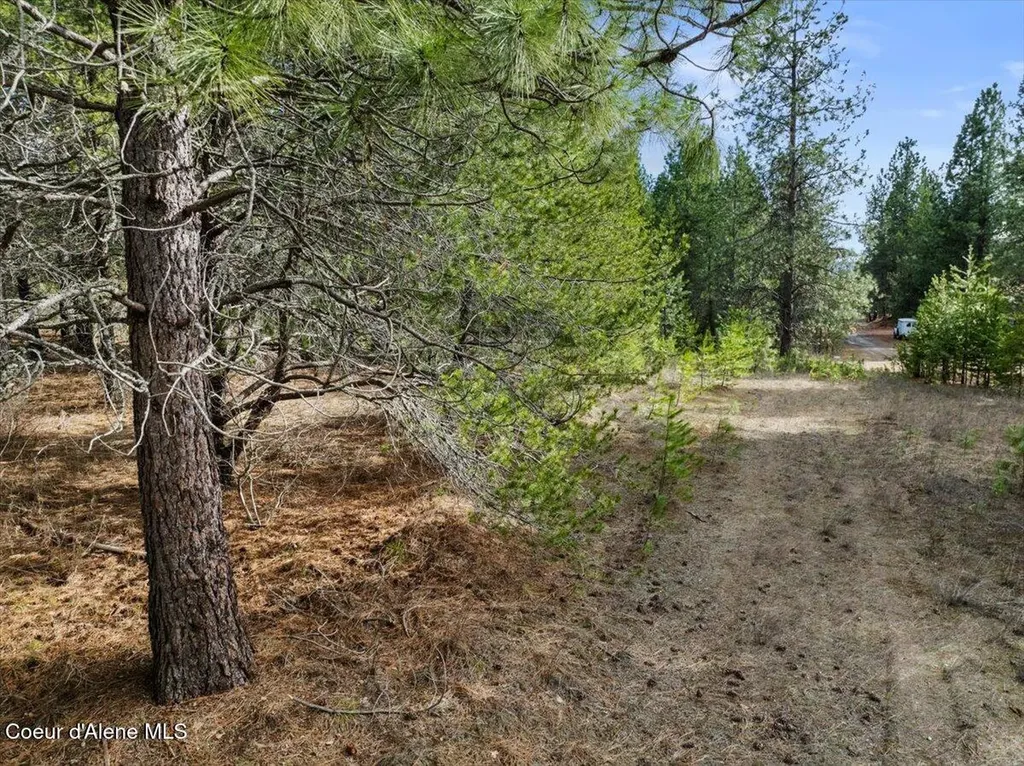 33482 N Charlotte Drive Spirit Lake ID 83869