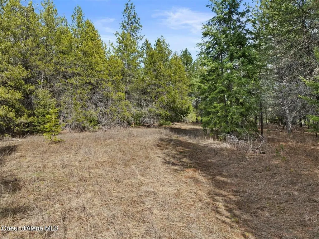 33482 N Charlotte Drive Spirit Lake ID 83869