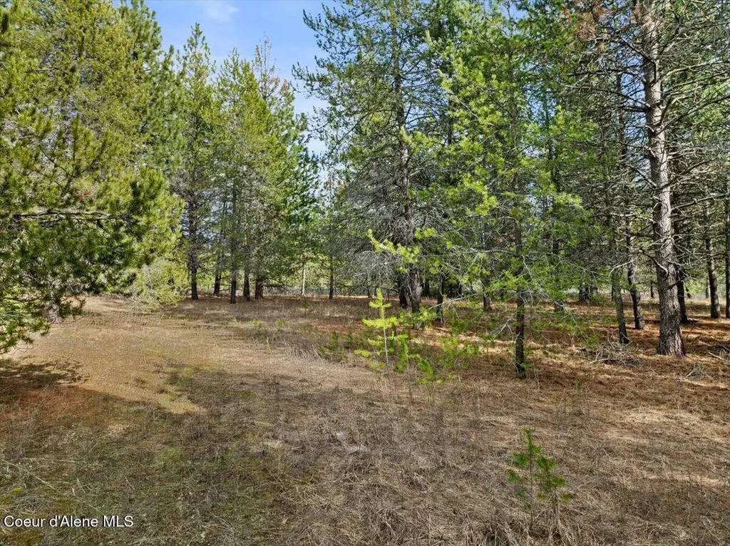 33482 N Charlotte Drive Spirit Lake ID 83869