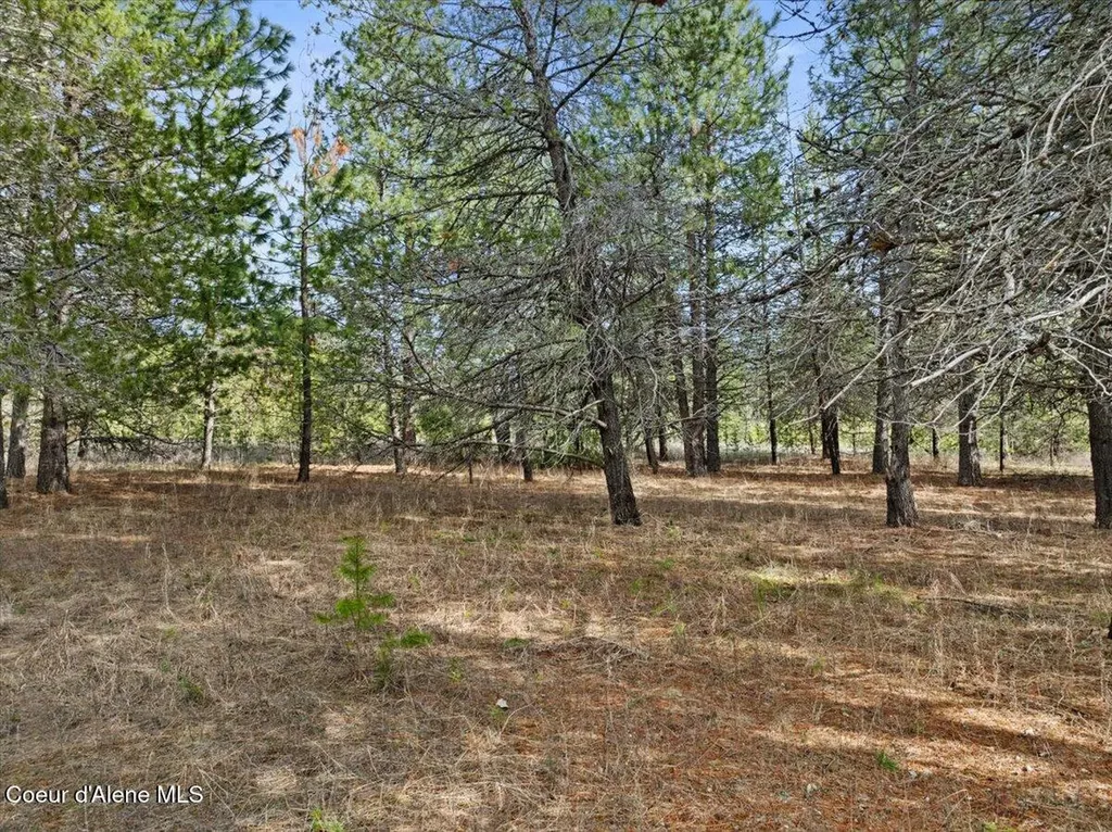 33482 N Charlotte Drive Spirit Lake ID 83869