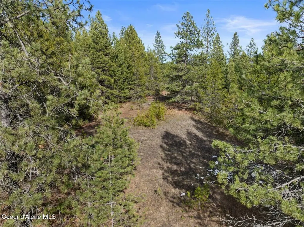 33482 N Charlotte Drive Spirit Lake ID 83869